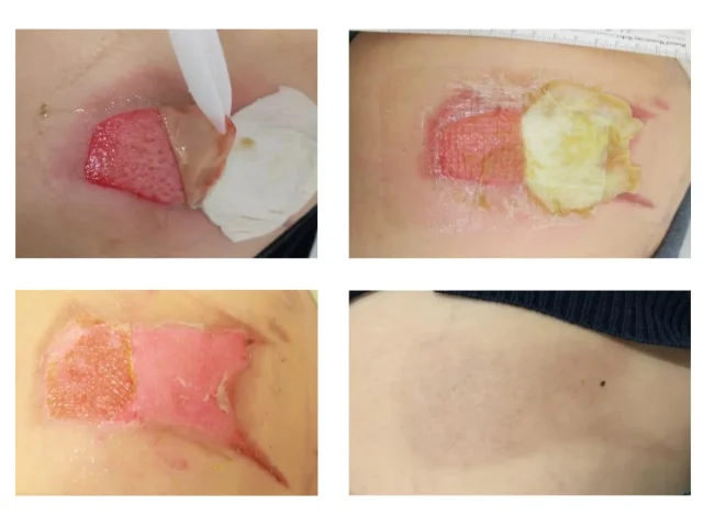 World Health Organization (WHO) Registered Clinical Research world health organization (who) registered clinical research case study